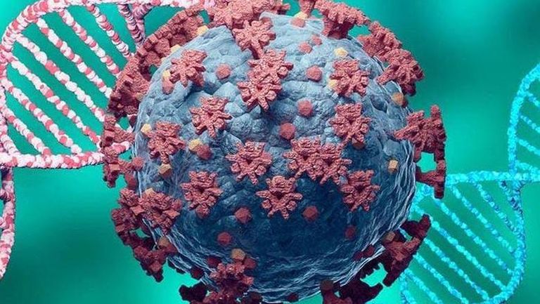 متحور "نيمبوس" متحور نيمبوس يثير قلق العلماء