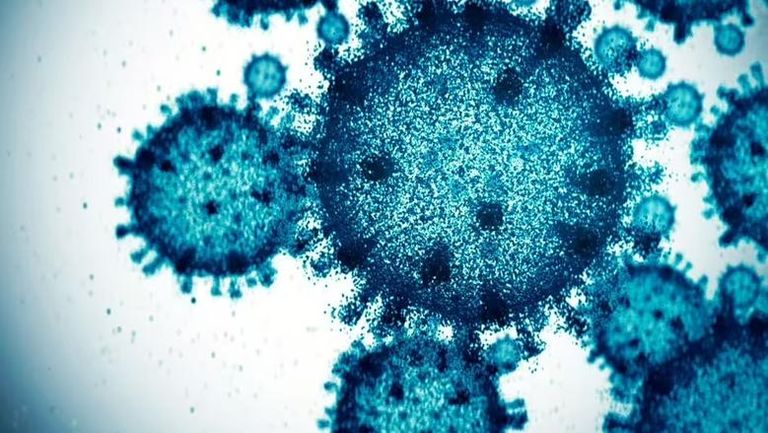 متحور "نيمبوس" متحور نيمبوس يثير قلق العلماء