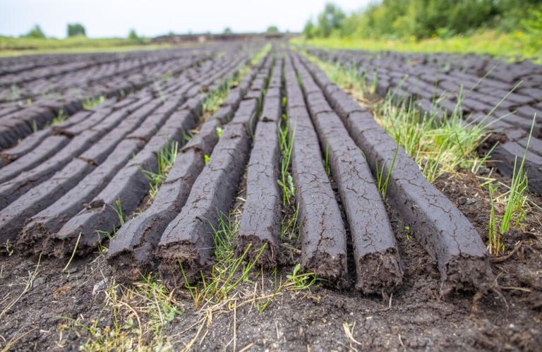 الأراضي الخثية في إيرلندا