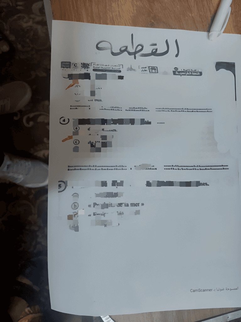 الصورة المتداولة في لجان امتحانات اللغة الفرنسية للثانوية العامة لجان الثانوية العامة في مصر