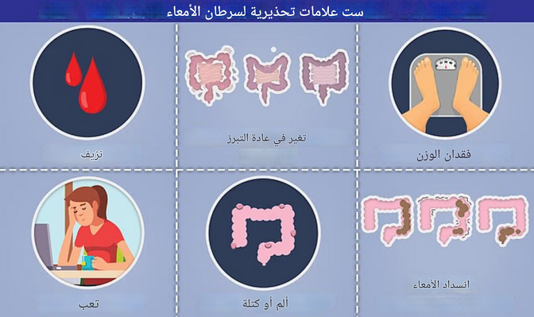 مكملات البروتينات تُفكك في الجسم إلى مركبات سامة