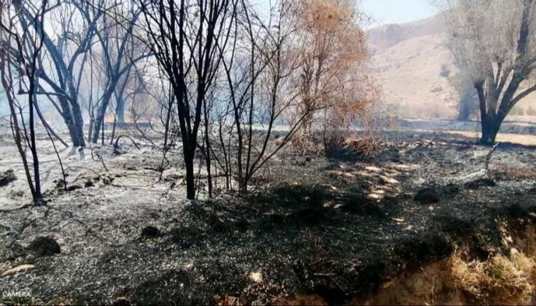 حرائق وادي دوعن في اليمن