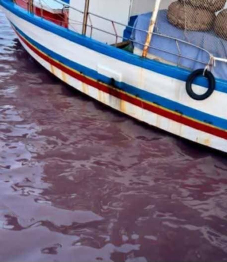 تلوث شواطئ محافظة المنستير التونسية