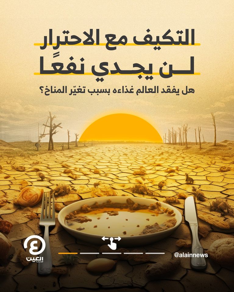 حقل ذرة (مصدر الصورة: شتر ستوك)