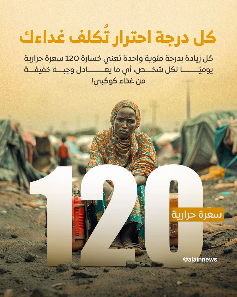 حقل ذرة (مصدر الصورة: شتر ستوك)