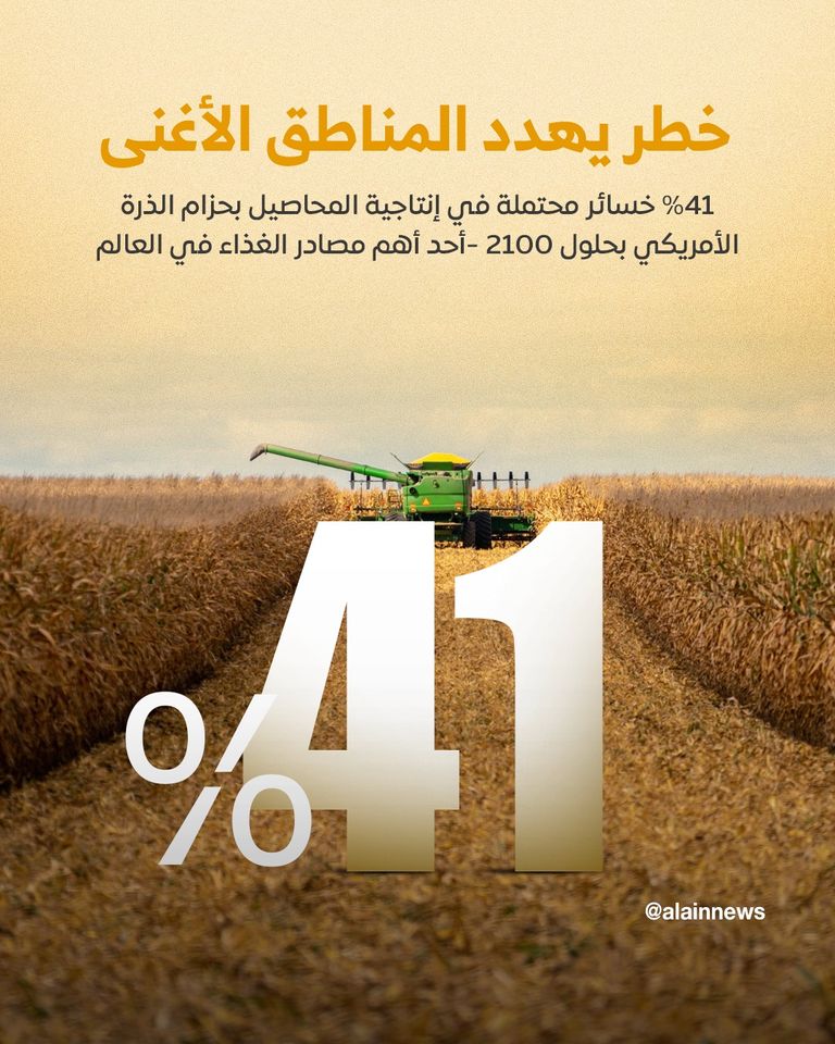 حقل ذرة (مصدر الصورة: شتر ستوك)