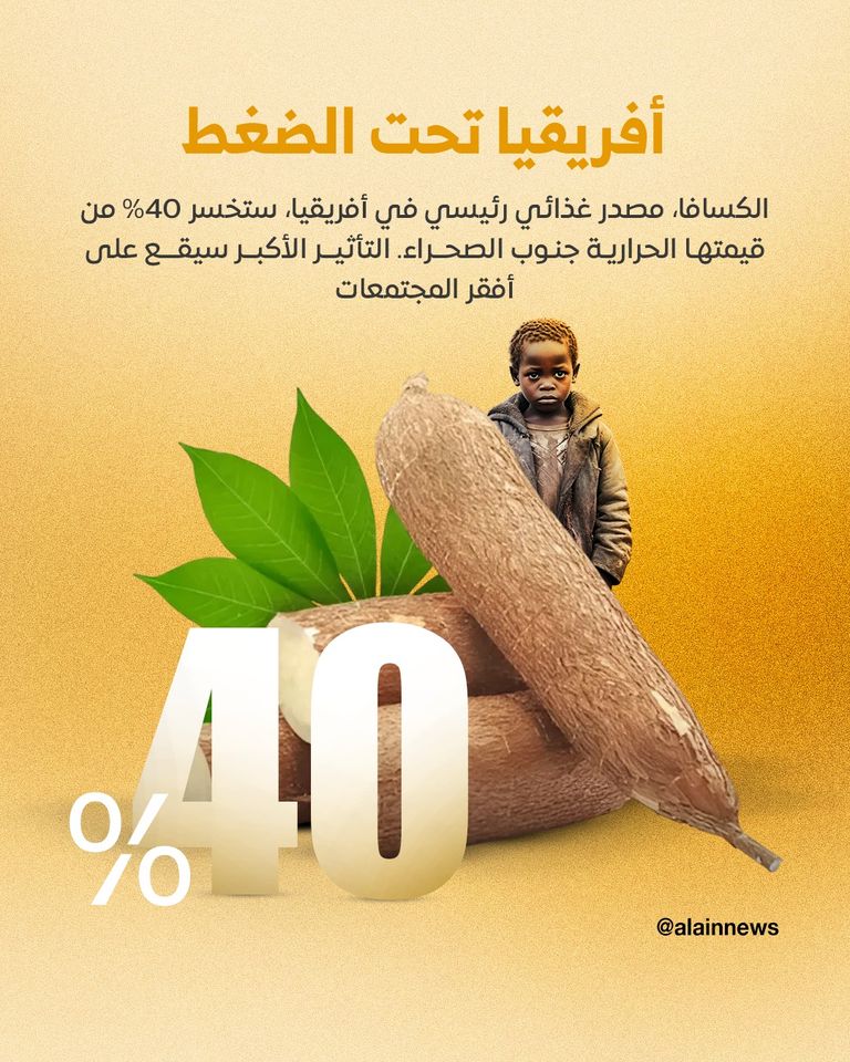 حقل ذرة (مصدر الصورة: شتر ستوك)