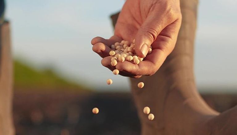 الصفقة تعزز استراتيجية الأمن الغذائي للإمارات وتعكس دور القابضة بتطوير القطاع الزراعي