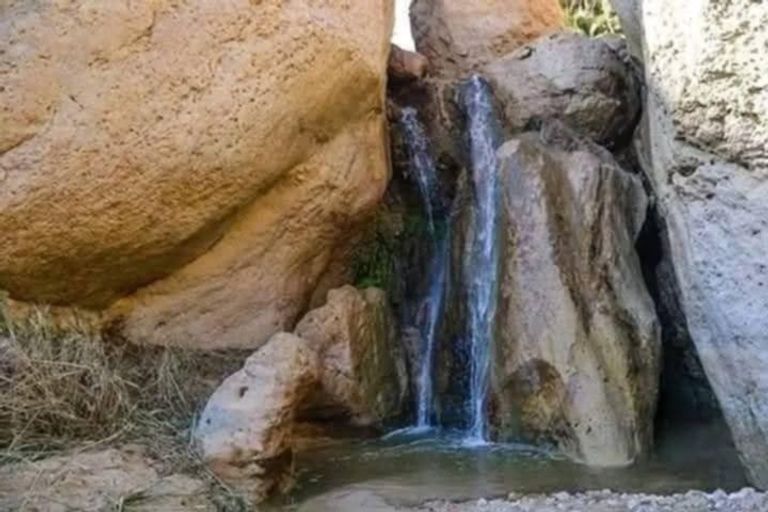 المحمية الطبيعية بوهدمة