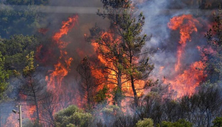 حرائق غابات إزمير التركية حرائق غابات إزمير التركية