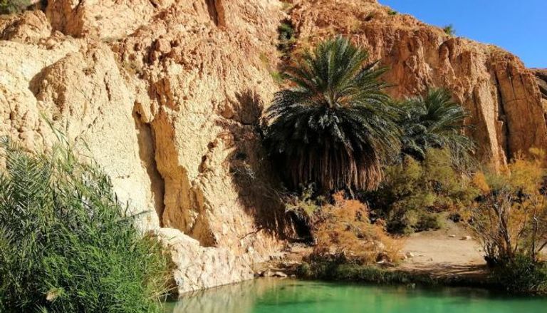 الواحات الجبلية بالشبيكة
