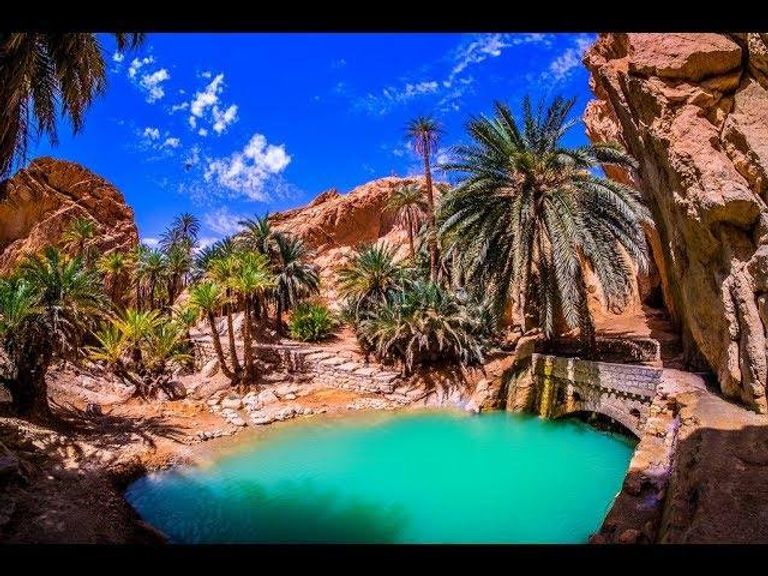 الواحات الجبلية بالشبيكة