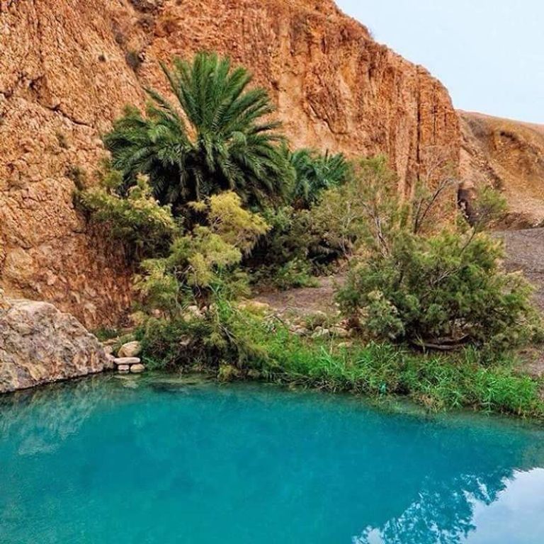 الواحات الجبلية بالشبيكة