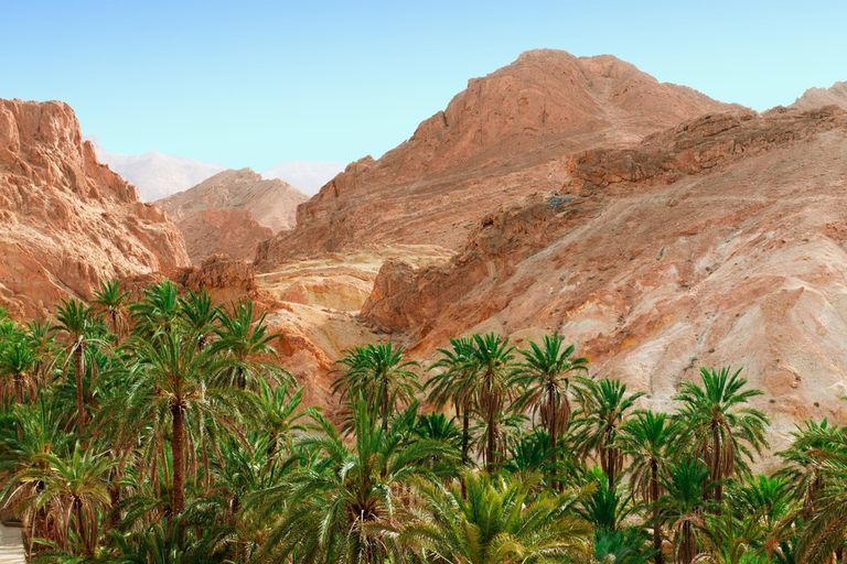 الواحات الجبلية بالشبيكة