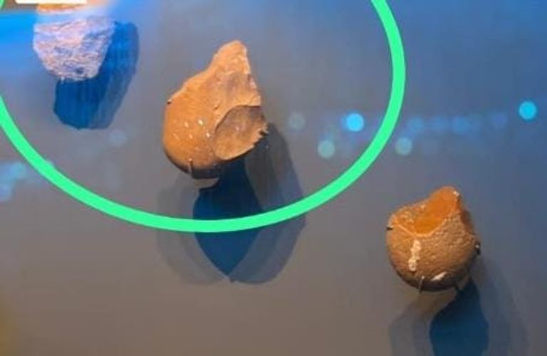 بسام الشماع يشير إلى القطع الأثرية النادرة من عصور ما قبل التاريخ