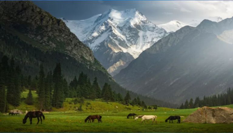 تعرف على أبرد مناطق العالم في 2025