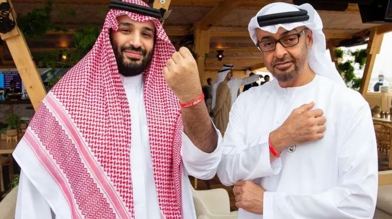 علما الإمارات والسعودية