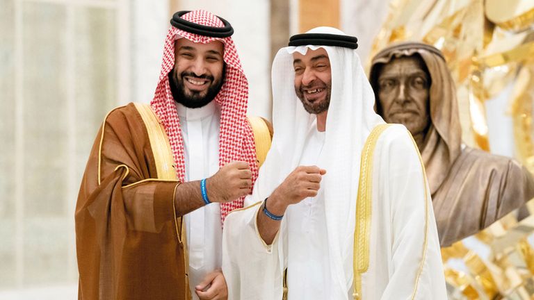 علما الإمارات والسعودية