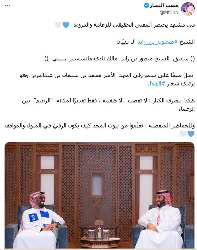 ولي العهد السعودي والشيخ طحنون بن زايد آل نهيان