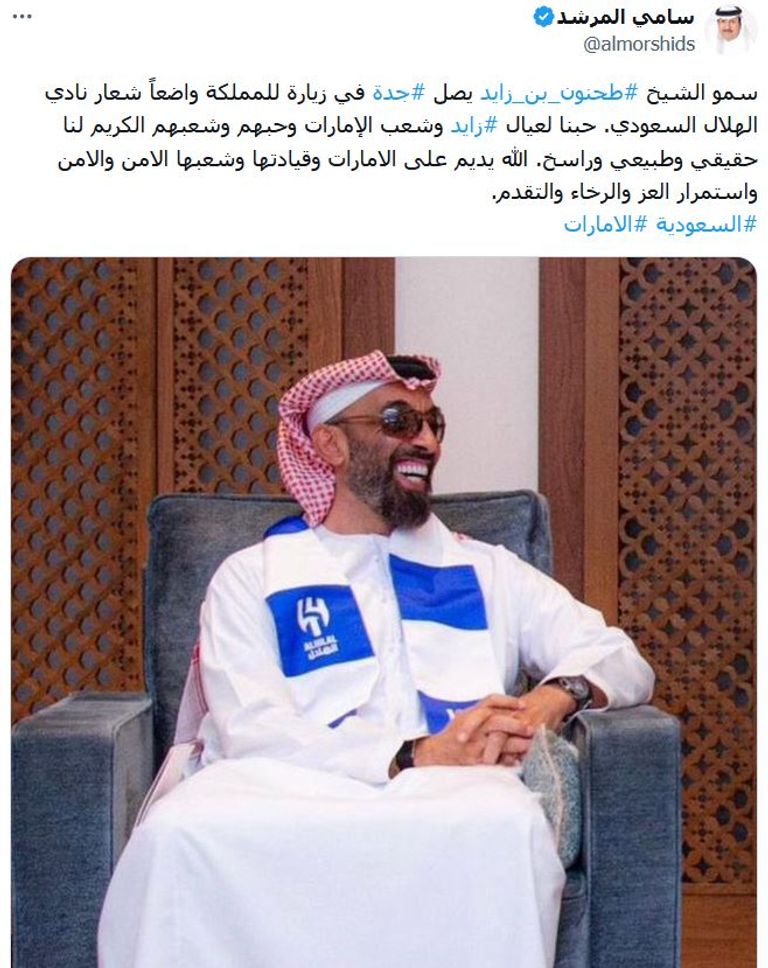 ولي العهد السعودي والشيخ طحنون بن زايد آل نهيان