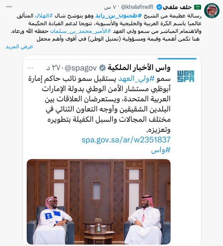 ولي العهد السعودي والشيخ طحنون بن زايد آل نهيان