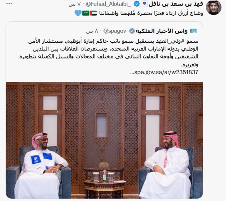 ولي العهد السعودي والشيخ طحنون بن زايد آل نهيان