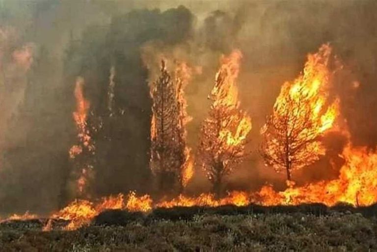 حرائق غابات سوريا