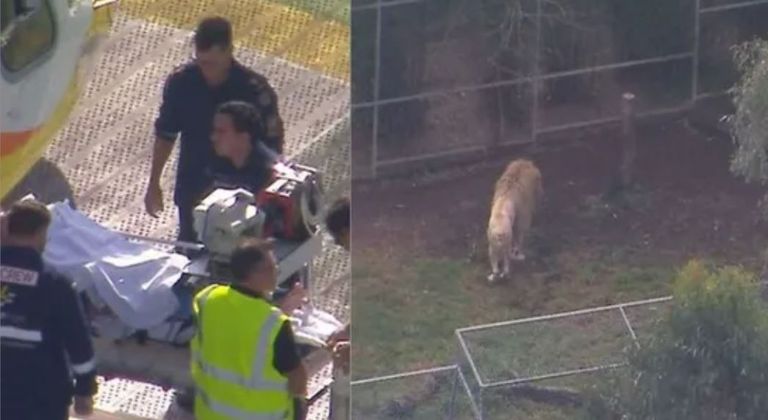  حديقة "دارلينغ داونز" للحيوانات