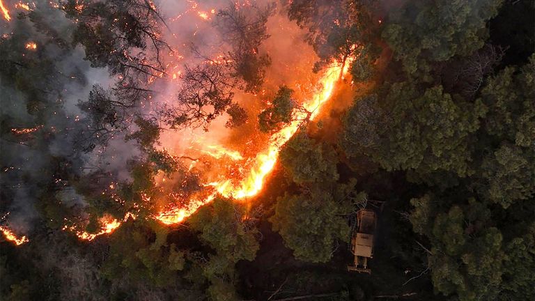 حرائق الغابات- أرشيفية