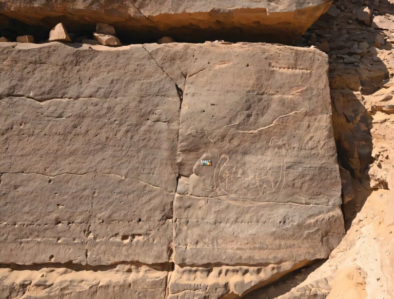 نقش صخري لقارب من العصر الحجري القديم 