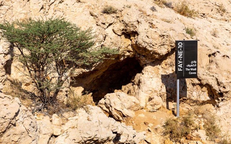 «الفاية» على قائمة التراث العالمي
