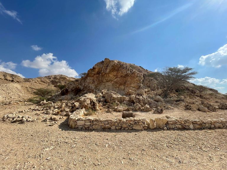 «الفاية» على قائمة التراث العالمي