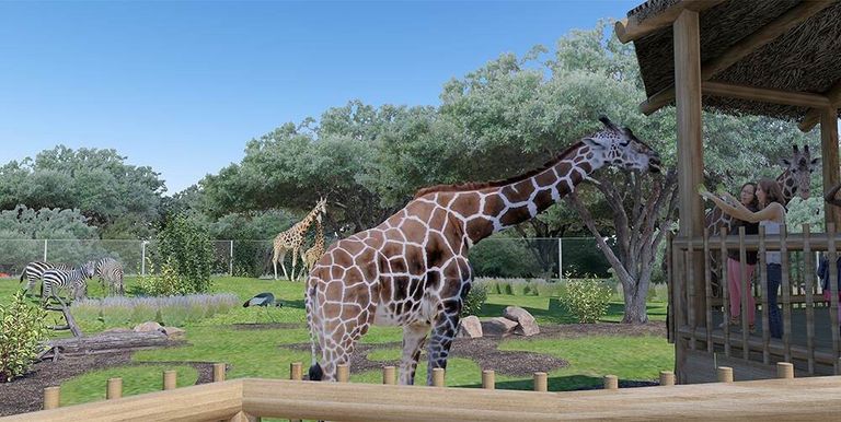 حديقة الحيوان في الجيزة - أرشيفية