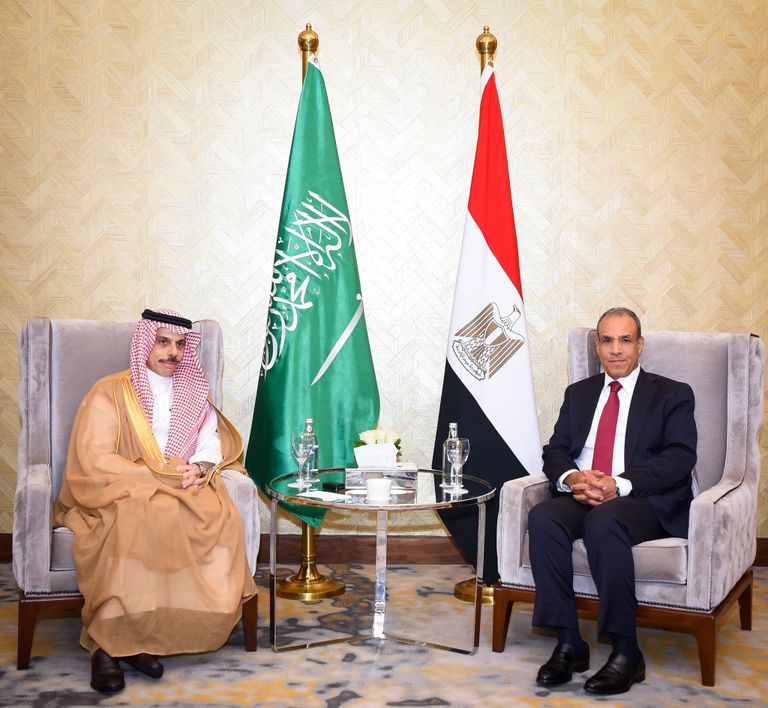 وزيرا خارجية مصر والسعودية