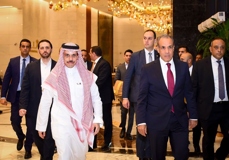 وزيرا خارجية مصر والسعودية