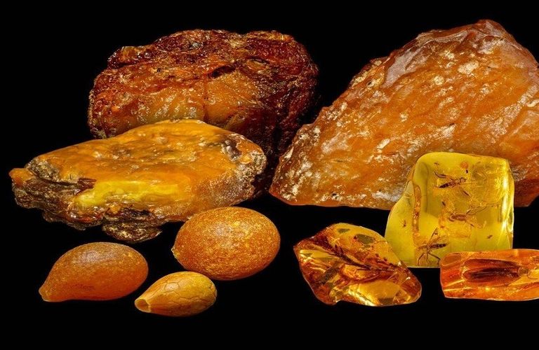 قطعة كهرمان فيها حشرات