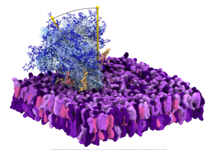 د.محمد شحاتة