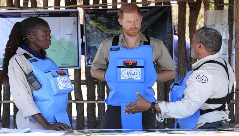 هاري في أنغولا