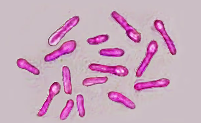 بريطانيا دعت المواطنين لتوخي الحذر عند الإقبال على الإجراءات التجميلية