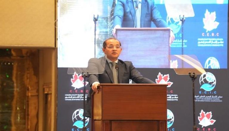 وزير المالية المصري أحمد كجوك