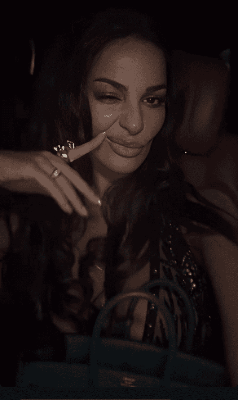 نادين نسيب نجيم