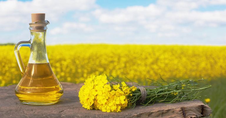  (الإندومي) من المنتجات شديدة الخطورة التي حذر منها الطبيب الأمريكي