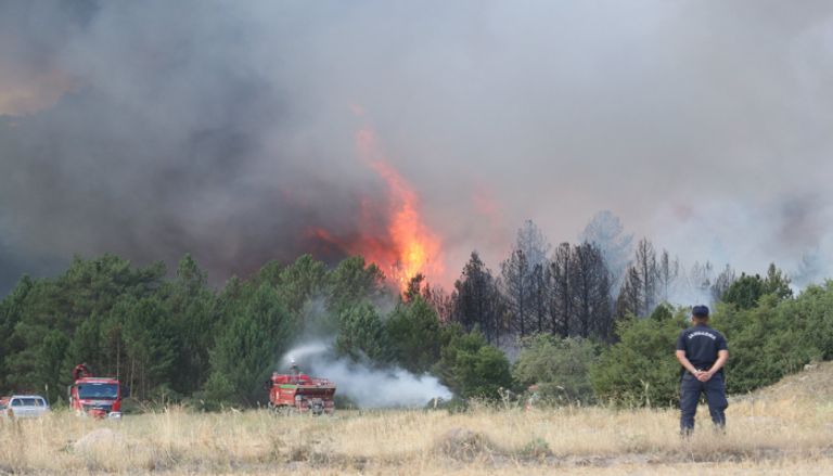 تفاصيل حريق تركيا اليوم