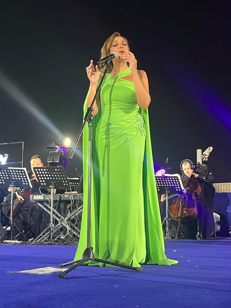 الفنانة أنغام