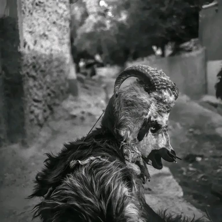 القناع الأمازيغي