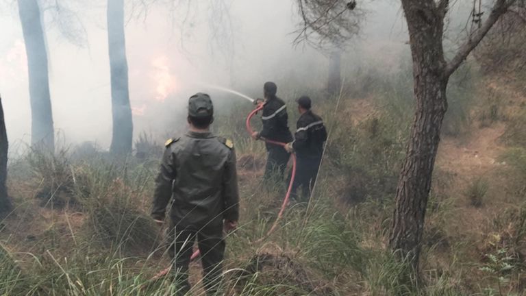 حريق بمحافظة باجة