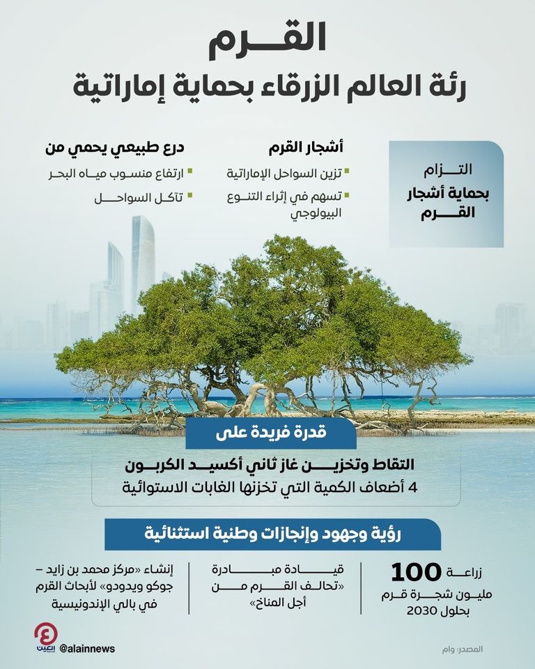 أشجار القرم في دولة الإمارات