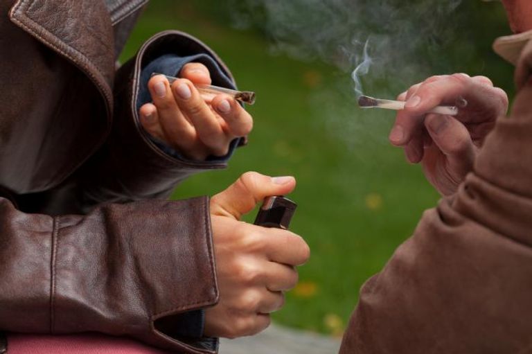 تحذيرات طبية من تدمير الحشيش للدماغ والقلب