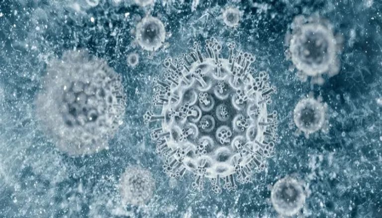 اليوم العالمي لالتهاب الكبد 2025 اليوم العالمي لالتهاب الكبد 2025