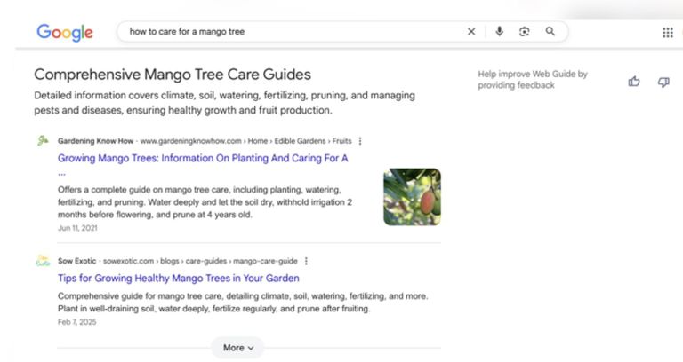 «غوغل» تطلق